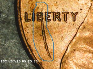 2021-LSC-Large-Die-Chip?